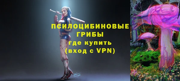 стафф Алзамай