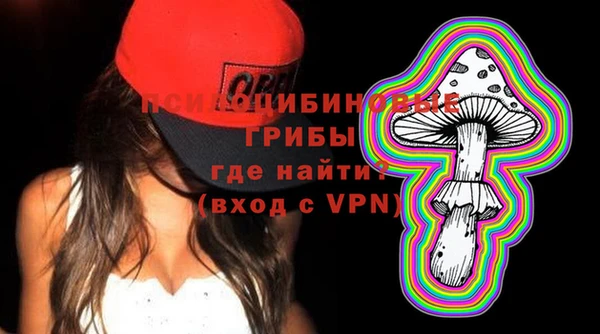 стафф Алзамай