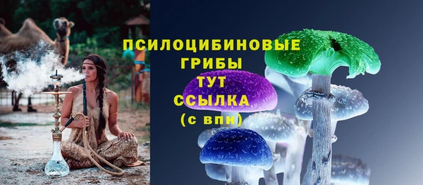 стафф Алзамай