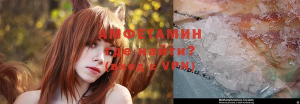 стафф Алзамай