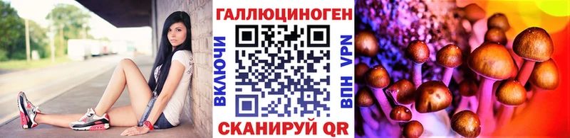 где найти наркотики blacksprut зеркало Псилоцибиновые грибы Psilocybe Сухиничи